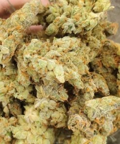 Banana-Kush