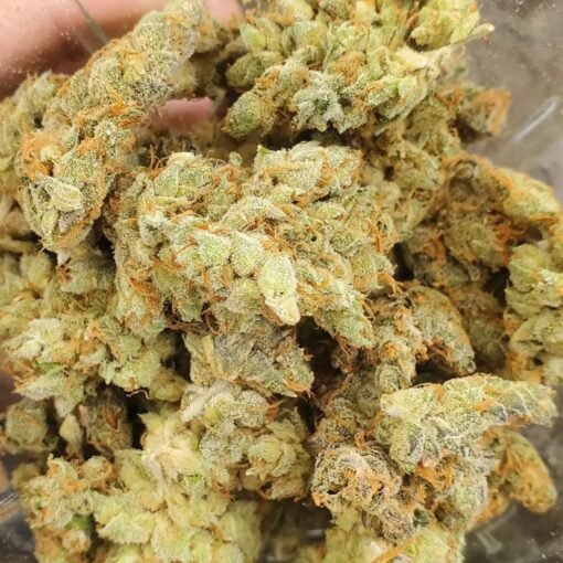 Banana-Kush
