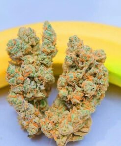 Banana Kush
