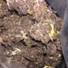 Black Cherry Soda