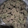Blue Goo