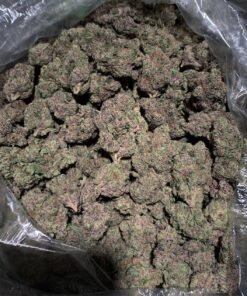 Blue Goo
