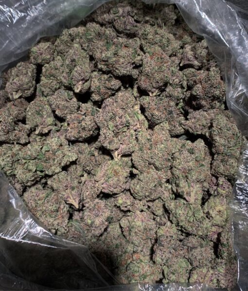 Blue Goo