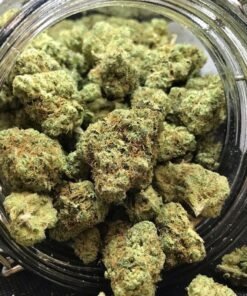 Blue Dream