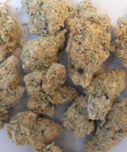 Blue Dream-Gras