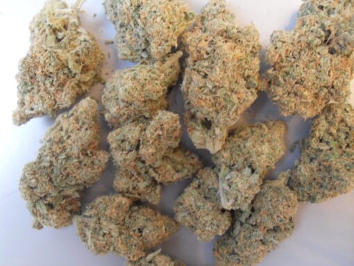 Blue Dream-Gras