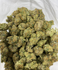 Bruce Banner