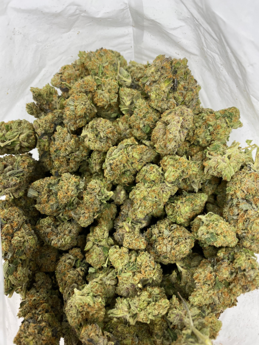 Bruce Banner