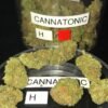 Cannatonic-Strain