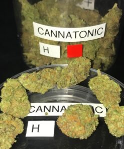Cannatonic-Strain