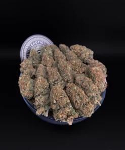 Cookie Monster