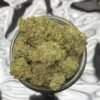 Dirty Girl Strain