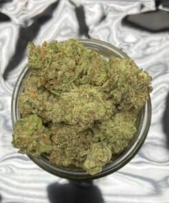 Dirty Girl Strain