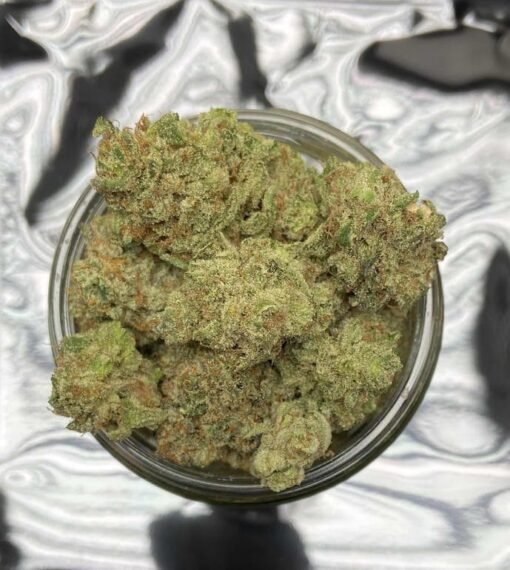 Dirty Girl Strain