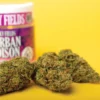 Durban Poison