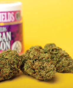 Durban Poison