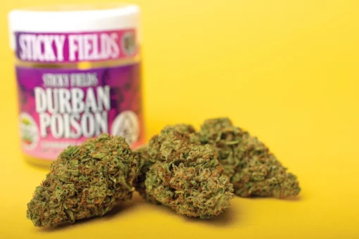 Durban Poison