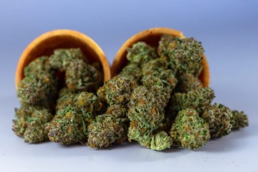 Gorilla Glue #4