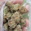Electric Lemon G