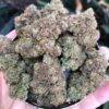 Girls Scout Cookies