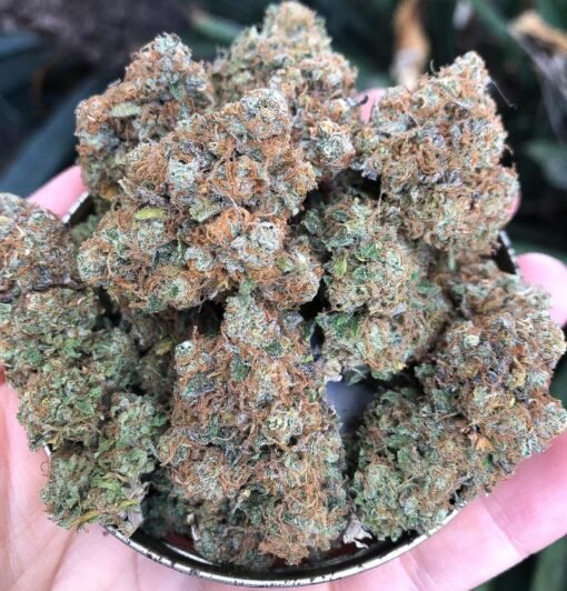 Girls Scout Cookies