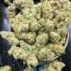 Galactic Jack