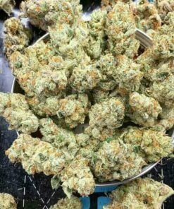 Galactic Jack