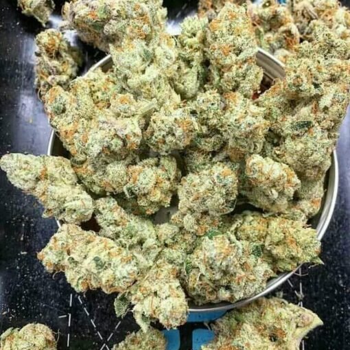 Galactic Jack