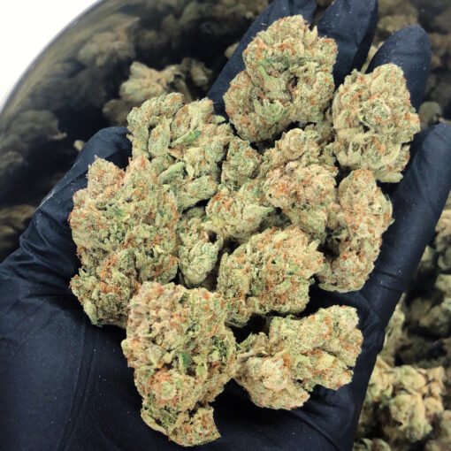 Green Crack