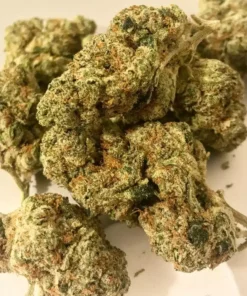 Atomic Jack