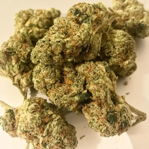 Atomic Jack
