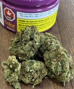Mango Haze