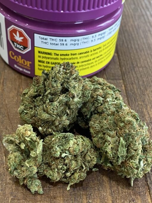 Mango Haze