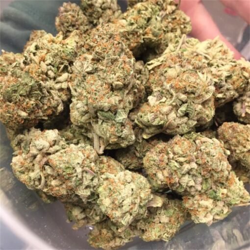 Medicine Man