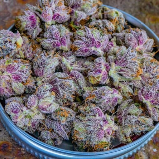 Purple Kush