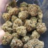 Afghan Haze