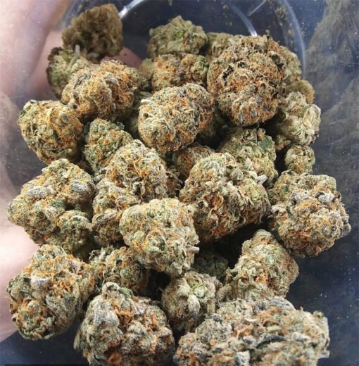 Afghan Haze