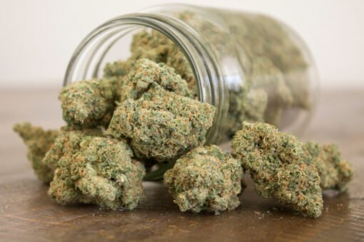 Sour Apple